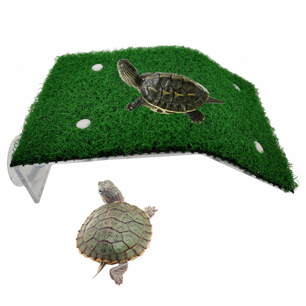 Alfyng turtle resting platform viewed from top, provides stable basking for relaxed sunbathing.
