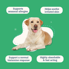 Alice & Eli Quercetin for Dogs paw closeup showing soothing support for itchy skin