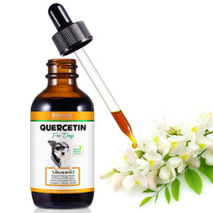 ALIVO Quercetin for Dogs bottle with dropper shows easy-dose option for allergy relief.