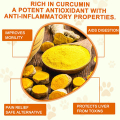 ALIVO turmeric for dogs tablets closeup highlighting easy-to-swallow capsules for hip comfort