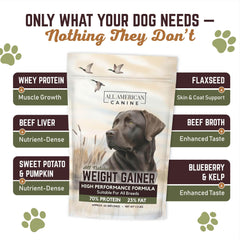 All American Canine Weight Gainer in bowl shows tasty mix my dogs enjoy during mealtime.