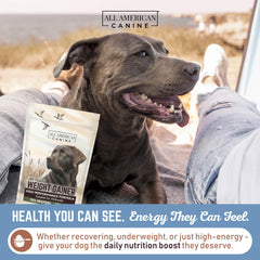 All American Canine Weight Gainer protein powder highlights beef broth, whey, and nutrients.