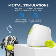 ALL FOR PAWS included balls demonstrate the 2.5-inch size ideal for medium to large dogs