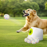 All For Paws automatic ball launcher in backyard setup for active fetch sessions.