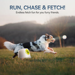 All For Paws ball launcher, dog fetch action shows energetic play and exercise.
