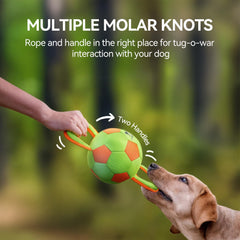 ALL FOR PAWS dog ball with squeaker promotes engaged play during training and fetch.