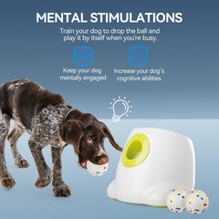 All For Paws ETPU balls closeup highlights durable, chew-resistant play.