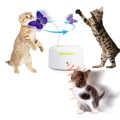 ALL FOR PAWS Interactive Butterfly Toy—front view showcases fluttering for indoor cat play.