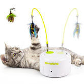 ALL FOR PAWS Interactive Cat Toy bug flutter on floor boosts curiosity and exercise.