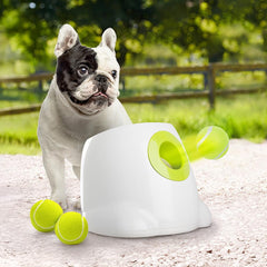 All For Paws launcher front view highlights compact design for small spaces.