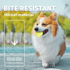 ALL FOR PAWS bright yellow tennis ball in grass for easy spotting outdoors