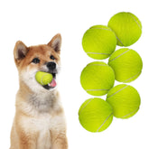 ALL FOR PAWS tennis ball 2in side view, a compact, durable fetch toy for outdoor play.