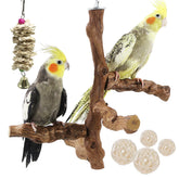 Allazone bird perch stand natural grape vine texture for grip and gentle chewing.