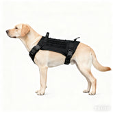ALLIGEAR tactical dog harness front view with adjustable chest for controlled walks.