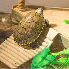 Allpdesky Turtle Pier floating dock adapts to water level for consistent basking.