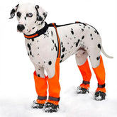 Allroaring dog boots waterproof-outdoor-walk protect paws during rain.