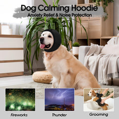 Allroaring calming hoodie worn during grooming shows calm and comfortable experience.