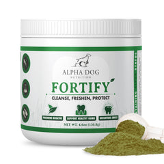Alpha Dog Nutrition Fortify dental powder bottle enables easy at-home dog dental care.
