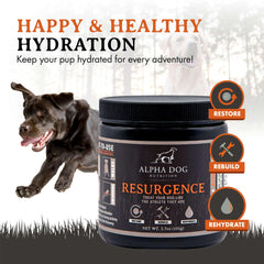 Resurgence helps a dog stay hydrated during activity