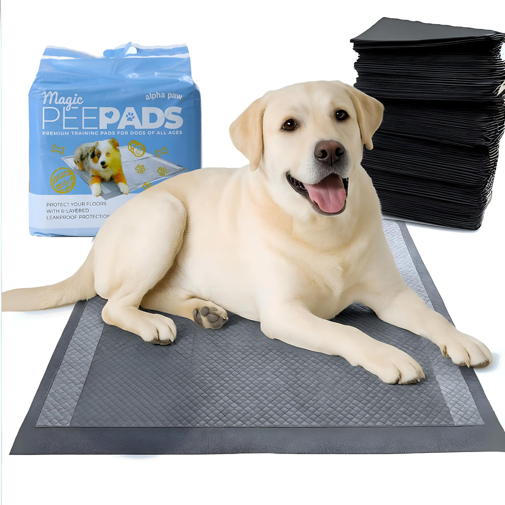Alpha Paw Magic Dog Pee Pad absorption demonstrates high liquid containment for easy cleanup