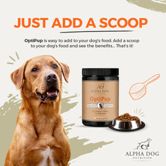 OptiPup digestive probiotic blend supports puppy gut health during meals