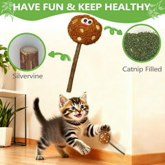 ALTABOMBA Catnip Lollipops Indoor Fun promote playful exploration and exercise