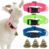 ALUZAEMO goat collars in blue pink green for quick ID and daily wear.