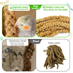 ALWZ-RDY Millet Treat Hand demonstrating interactive feeding with ALWZ-RDY