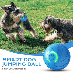 AMATFFUG Smart Jumping Ball in action with a dog for interactive play.