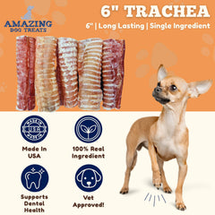 Amazing Dog Treats beef trachea chew close-up shows durable texture.