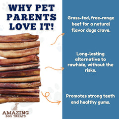 Amazing Dog Treats bully sticks 6-inch close-up texture reveals dense, natural chew for dental-friendly chewing.