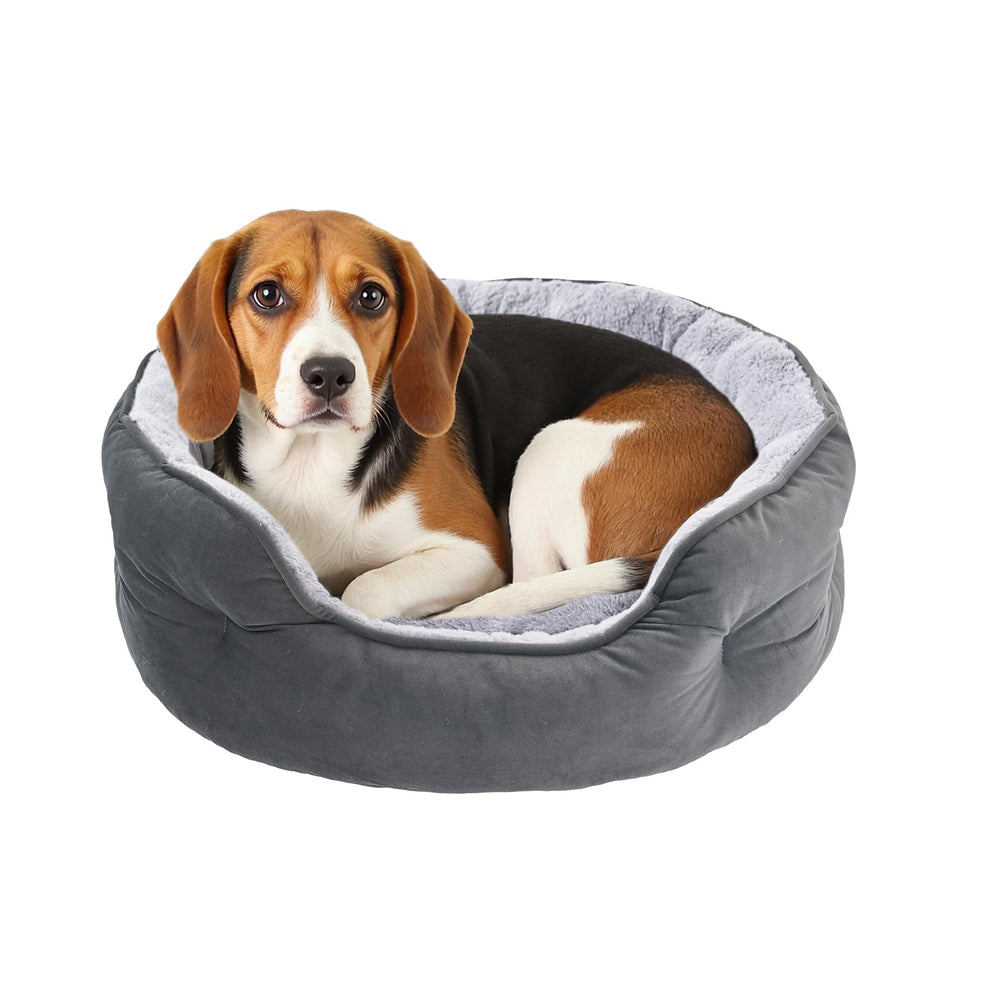 Amazon Basics round dog bed gray front view showing plush surface for medium dogs.