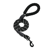Amazon Basics round dog leash clip shows a secure clasp for safe daily walks.