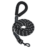 Amazon Basics round dog leash full view showing durable rope for everyday walks