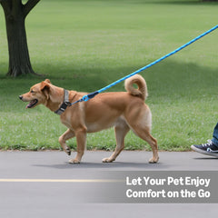 Amazon Basics Round Dog Leash lightweight design for easy carry.