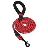Amazon Basics round dog leash red 6 ft for comfortable daily walking and control.