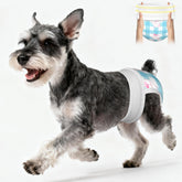 Ambreview Dog Diapers 360° fit demonstrates secure pull-on wear for comfortable dog movement