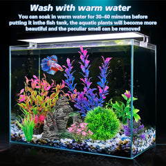 Ameliade small aquarium plant 2 blends with any tank theme and reduces plainness.