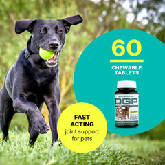 American BioSciences DGP dog chews shown on a tray for daily use.