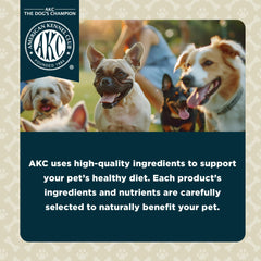 American Kennel Club Lil Champs soft texture closeup highlighting chewy bite