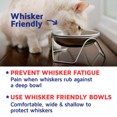 Americat dishwasher-safe bowls simplify post-meal cleaning.