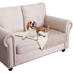 Ameritex waterproof dog bed cover on sofa shows furniture protection.