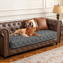 Ameritex Waterproof Dog Bed Cover on sofa protects furniture from spills.