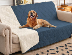 Ameritex waterproof dog bed cover on sofa protects furniture from moisture