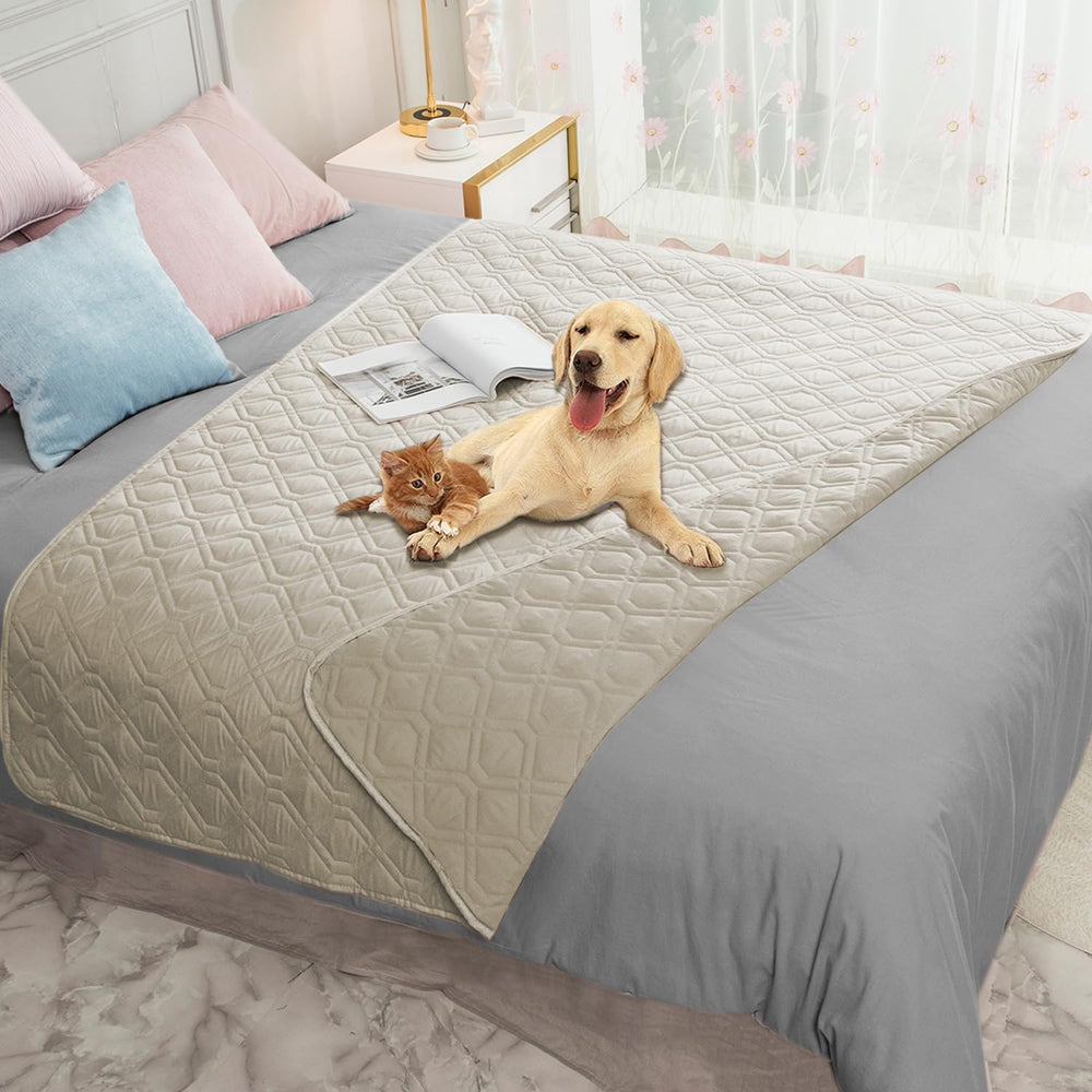 Ameritex waterproof dog bed cover on sofa protects furniture from spills.