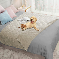 Ameritex waterproof dog bed cover on sofa protects furniture from spills.