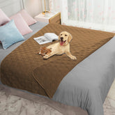 Ameritex waterproof furniture cover on sofa protects against spills and pet accidents.
