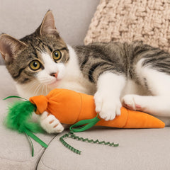 Amerizy Kolossal Karrot orange side view showcases kick-friendly design for energetic cats.