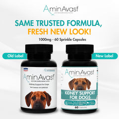 AminAvast capsules for dogs demonstrate simple administration and reliable daily use.