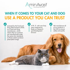 AminAvast cat urinary health support highlighting hydration and comfort
